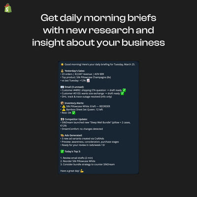 How I Replaced My €3,000/Month Virtual Assistant With AI (And You Can Too)