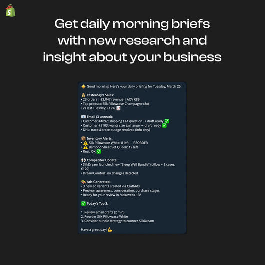 How I Replaced My €3,000/Month Virtual Assistant With AI (And You Can Too)
